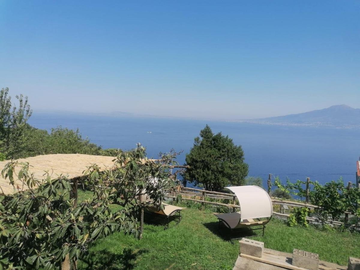 维克艾库塞La Badia Montechiaro - Breathtaking View Of Sorrento Coast别墅 外观 照片