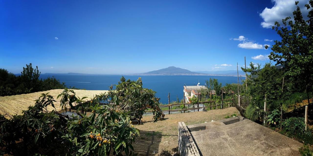 维克艾库塞La Badia Montechiaro - Breathtaking View Of Sorrento Coast别墅 外观 照片