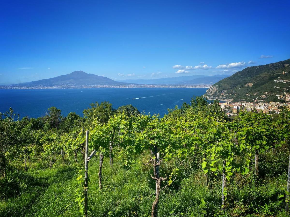 维克艾库塞La Badia Montechiaro - Breathtaking View Of Sorrento Coast别墅 外观 照片