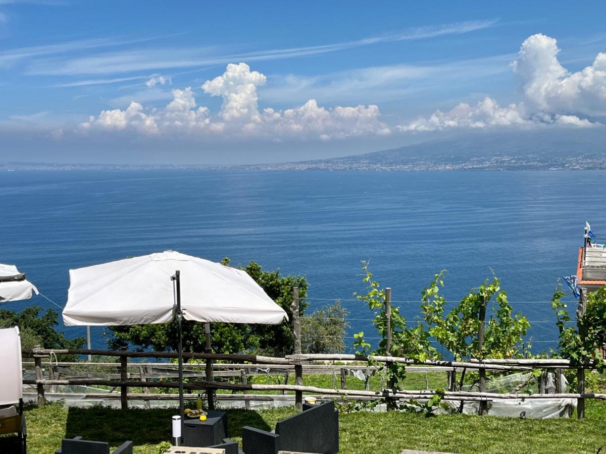 维克艾库塞La Badia Montechiaro - Breathtaking View Of Sorrento Coast别墅 外观 照片