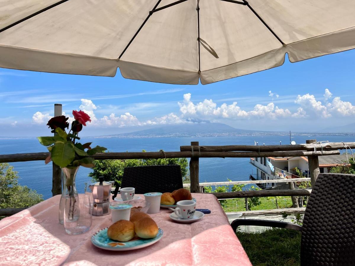 维克艾库塞La Badia Montechiaro - Breathtaking View Of Sorrento Coast别墅 外观 照片