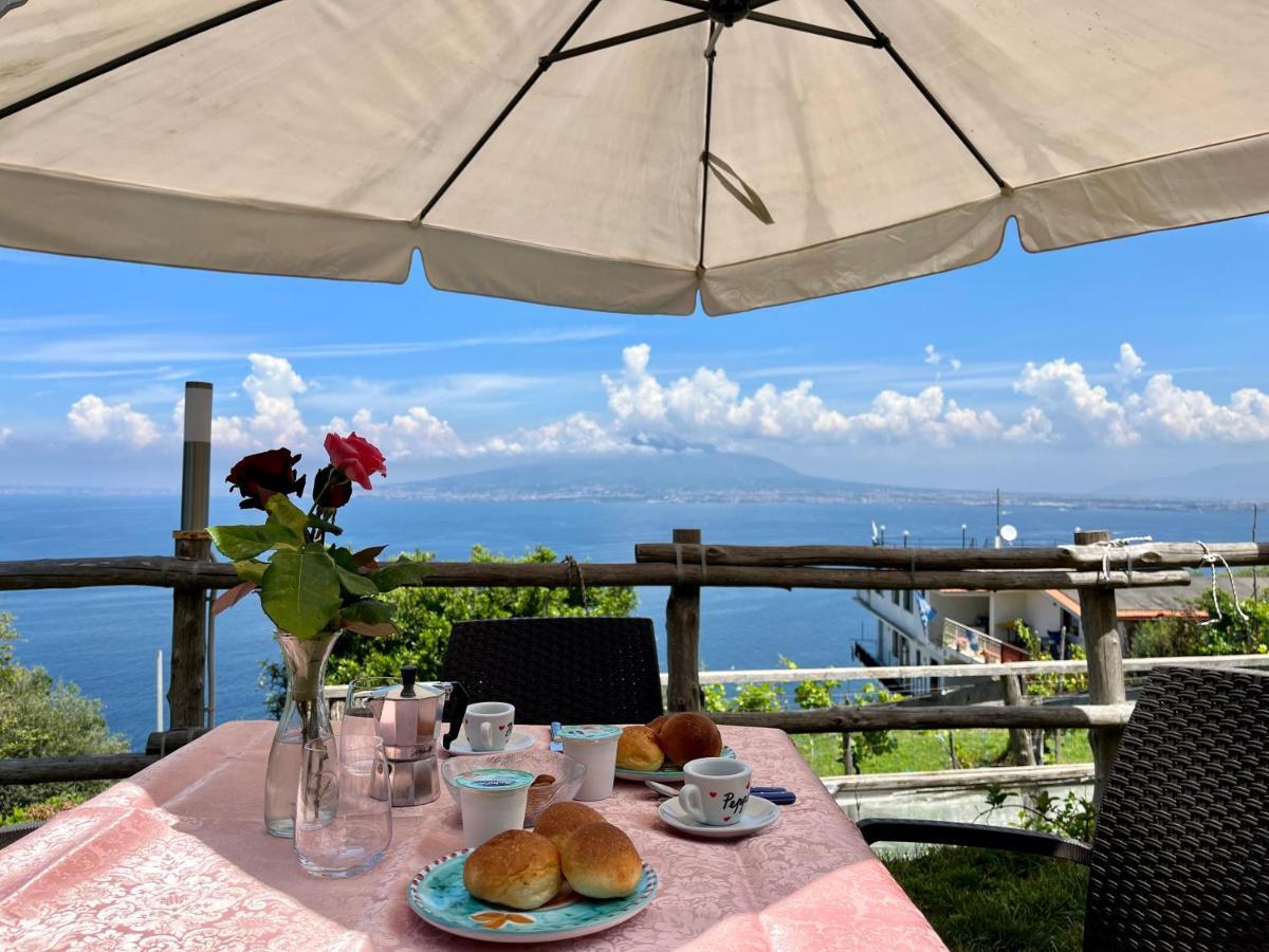 维克艾库塞La Badia Montechiaro - Breathtaking View Of Sorrento Coast别墅 外观 照片