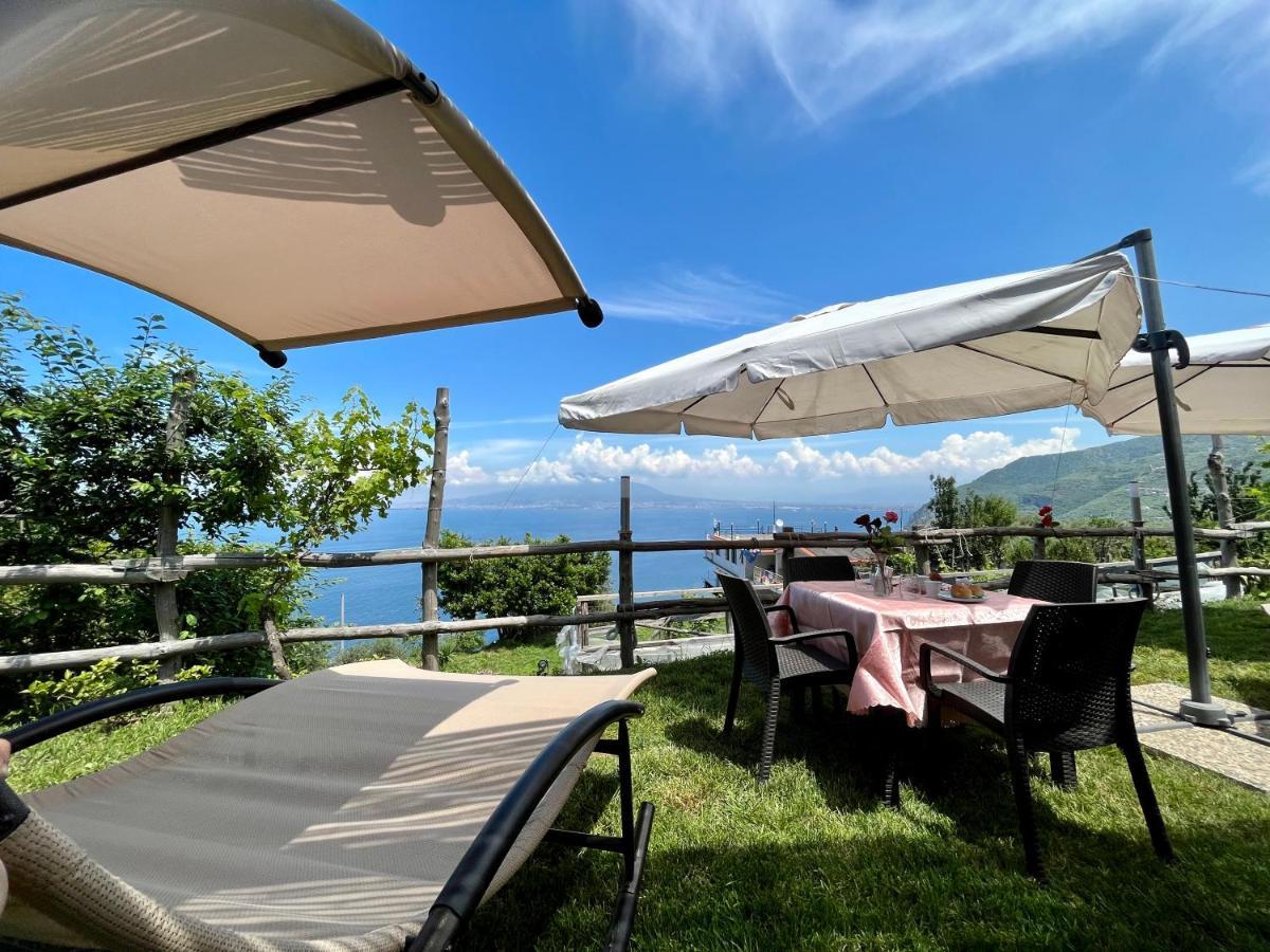 维克艾库塞La Badia Montechiaro - Breathtaking View Of Sorrento Coast别墅 外观 照片