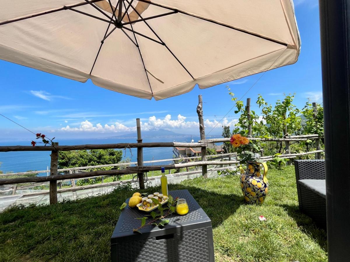 维克艾库塞La Badia Montechiaro - Breathtaking View Of Sorrento Coast别墅 外观 照片