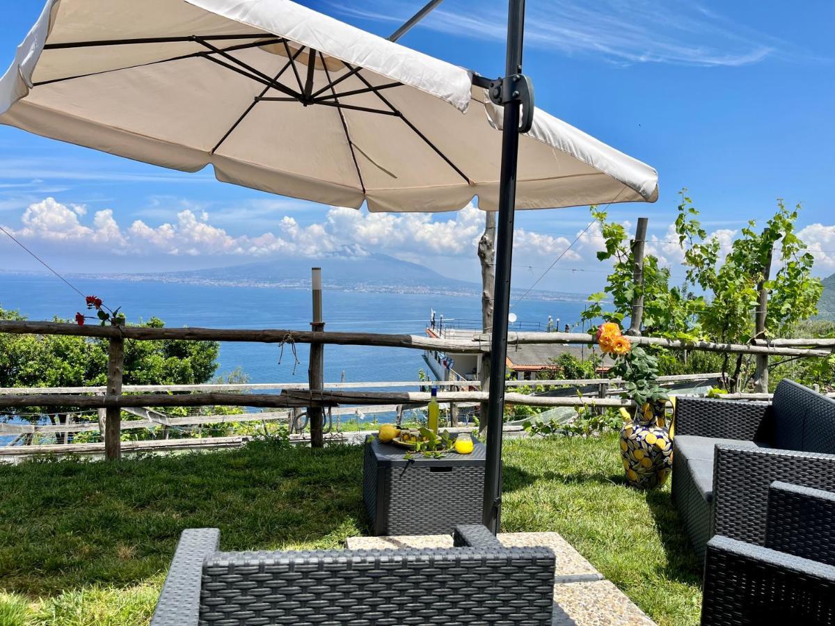 维克艾库塞La Badia Montechiaro - Breathtaking View Of Sorrento Coast别墅 外观 照片
