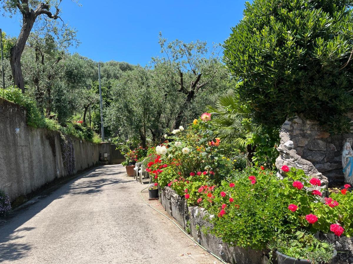 维克艾库塞La Badia Montechiaro - Breathtaking View Of Sorrento Coast别墅 外观 照片