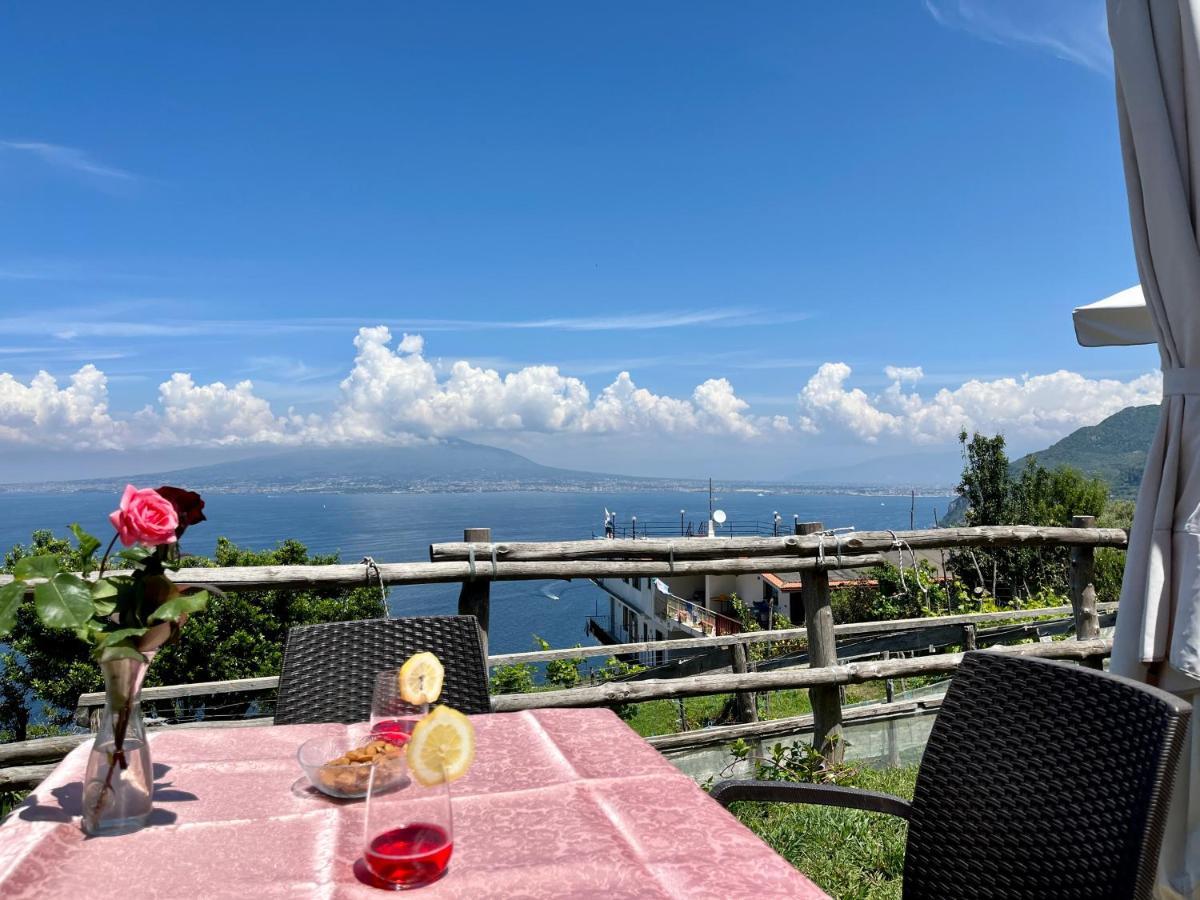 维克艾库塞La Badia Montechiaro - Breathtaking View Of Sorrento Coast别墅 外观 照片