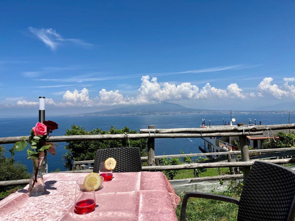 维克艾库塞La Badia Montechiaro - Breathtaking View Of Sorrento Coast别墅 外观 照片