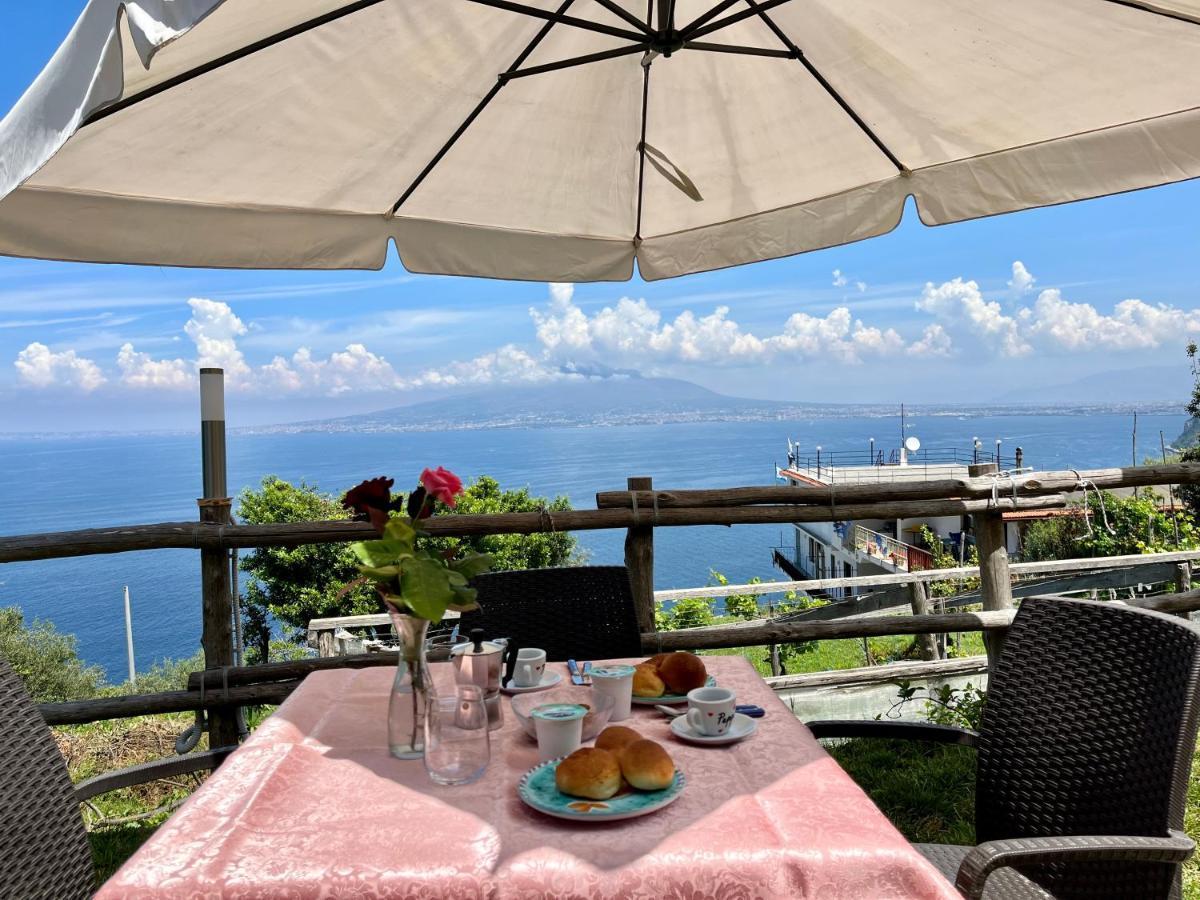 维克艾库塞La Badia Montechiaro - Breathtaking View Of Sorrento Coast别墅 外观 照片