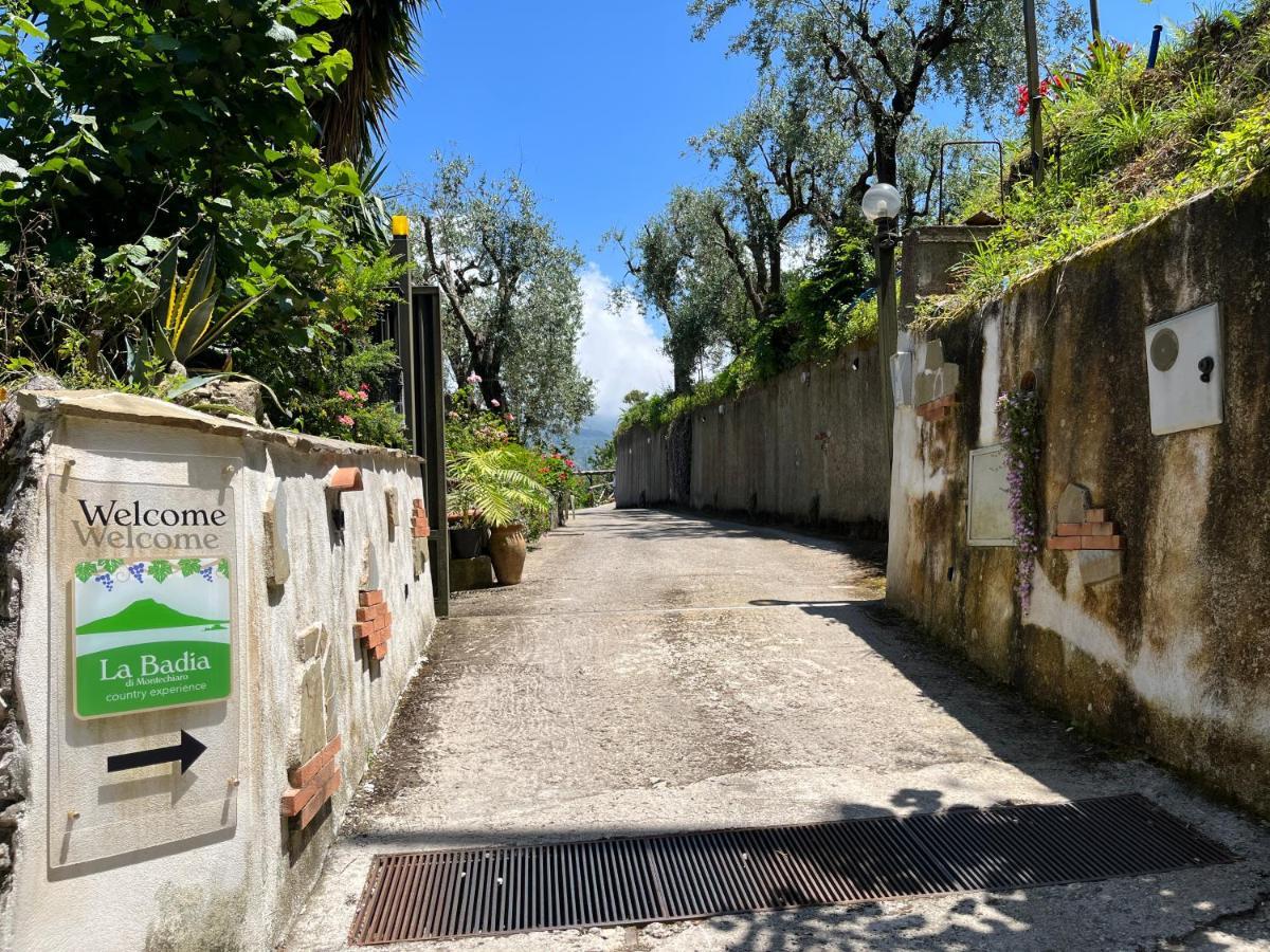 维克艾库塞La Badia Montechiaro - Breathtaking View Of Sorrento Coast别墅 外观 照片