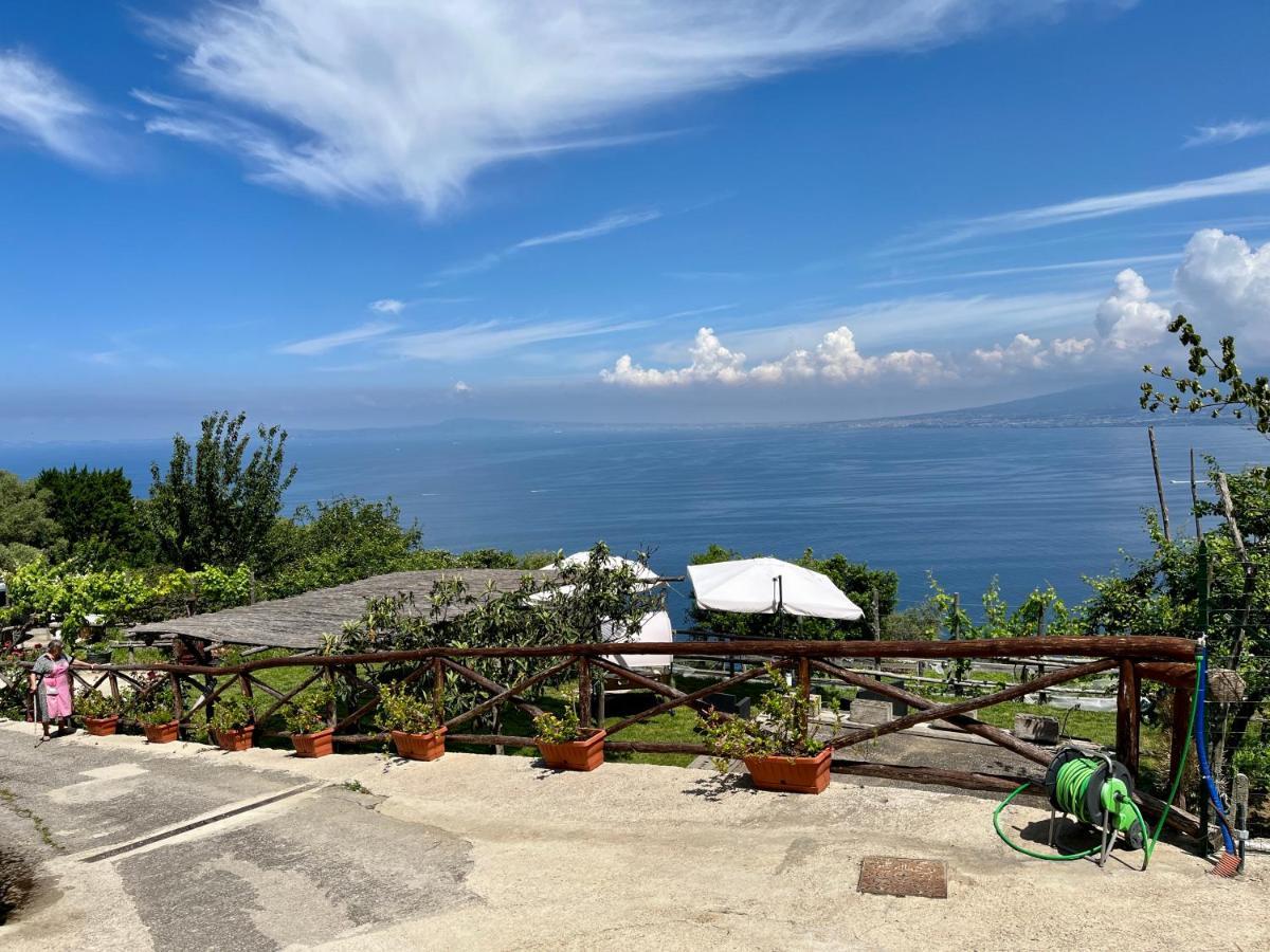 维克艾库塞La Badia Montechiaro - Breathtaking View Of Sorrento Coast别墅 外观 照片