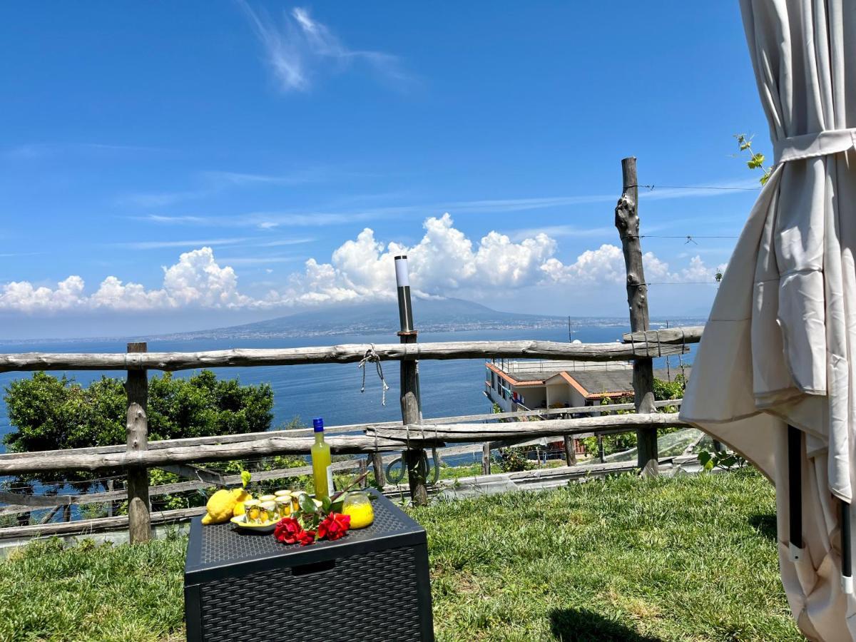 维克艾库塞La Badia Montechiaro - Breathtaking View Of Sorrento Coast别墅 外观 照片
