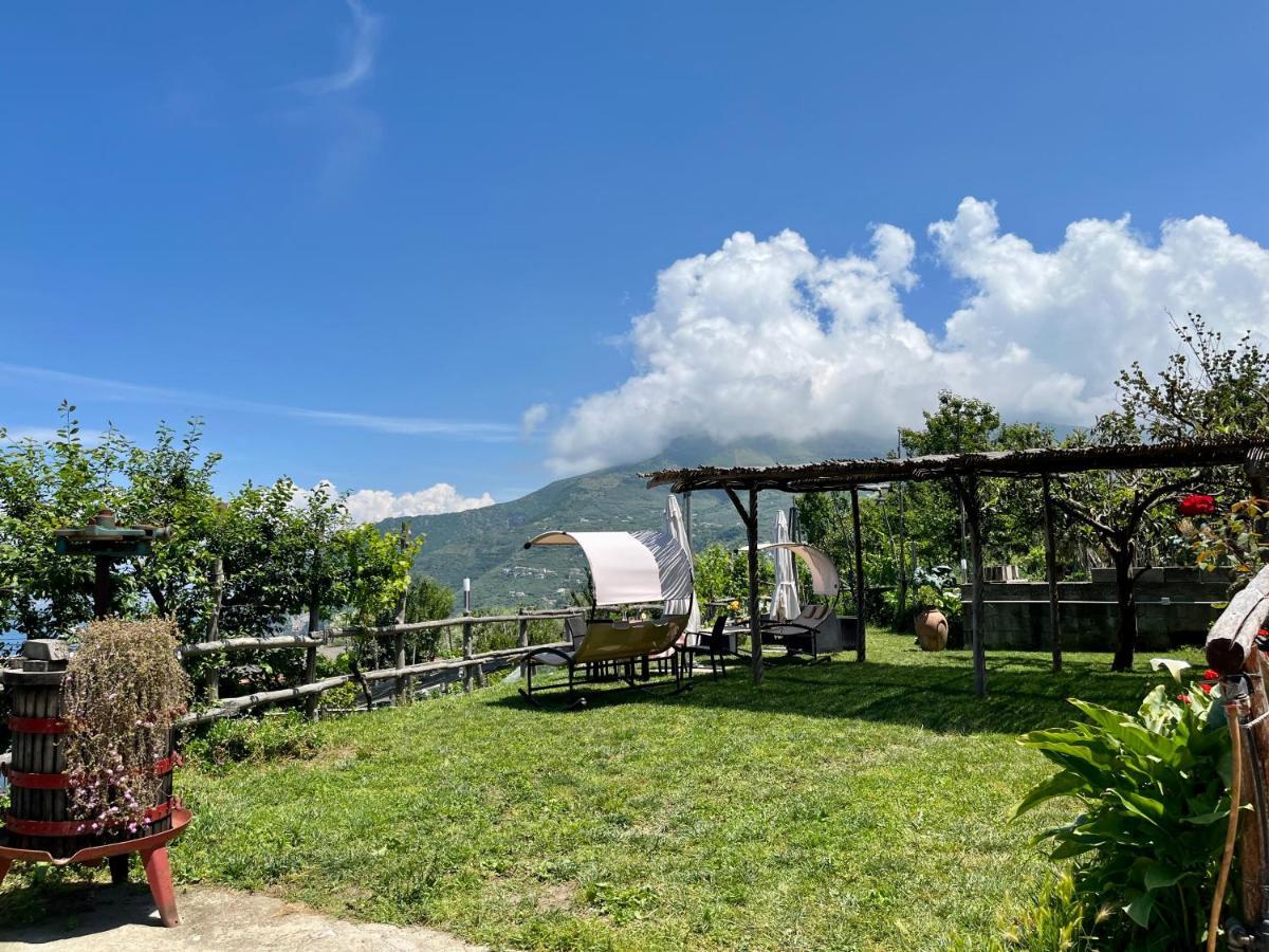 维克艾库塞La Badia Montechiaro - Breathtaking View Of Sorrento Coast别墅 外观 照片