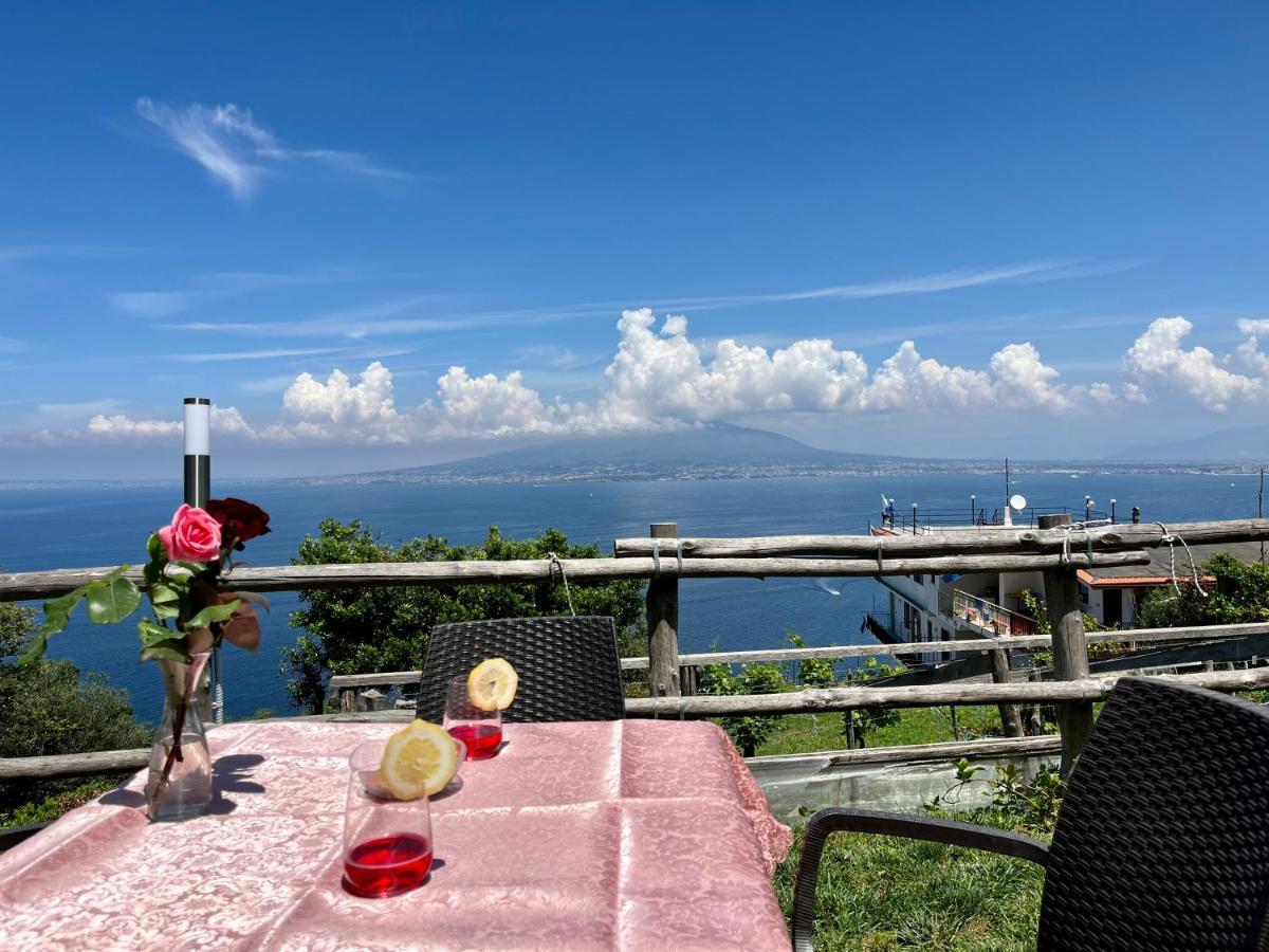 维克艾库塞La Badia Montechiaro - Breathtaking View Of Sorrento Coast别墅 外观 照片