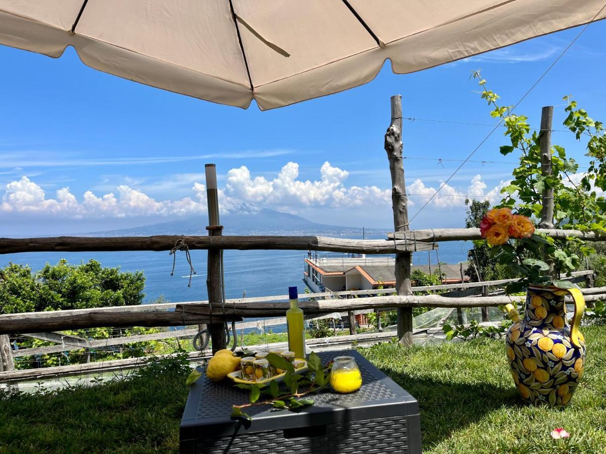 维克艾库塞La Badia Montechiaro - Breathtaking View Of Sorrento Coast别墅 外观 照片